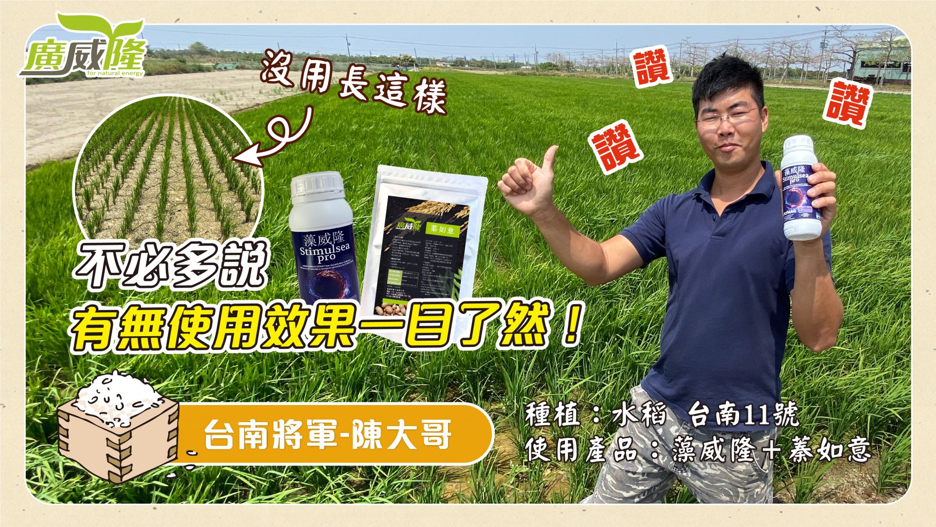 陳大哥_台南將軍【藻威隆+蓁如意】水稻試驗：幫助分蘗、穗粒更飽滿！