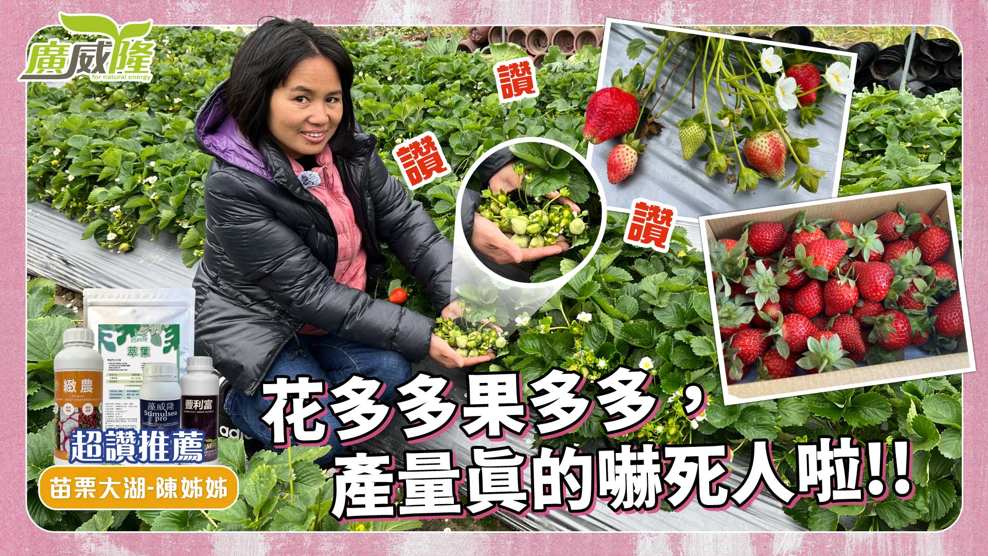 陳小姐+苗栗大湖【萃葉+藻威隆+蘴利富+緻農】整把滿滿的花、果，秒變草莓暴發戶