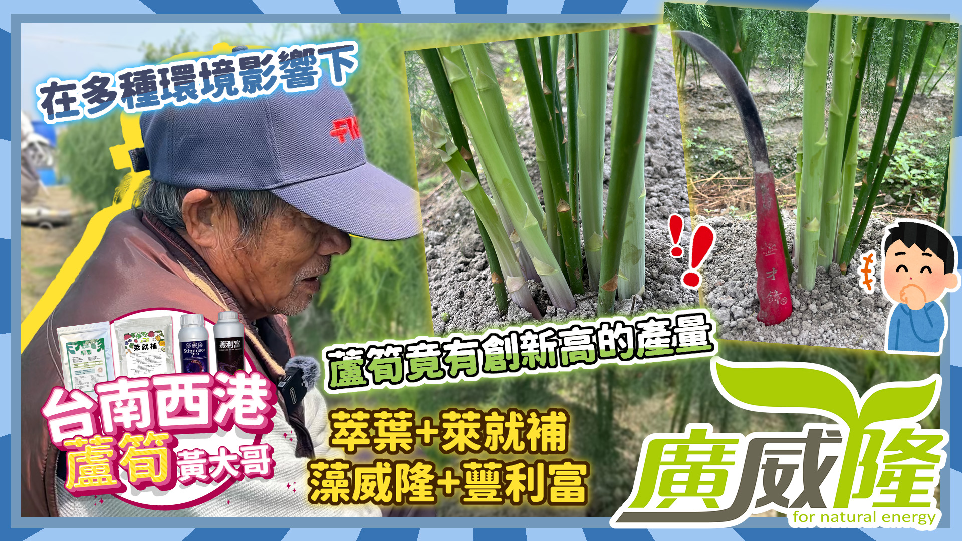 台南西港_黃大哥【萊就補+萃葉+藻威隆+蘴利富】今年氣候這麼難搞，大家收成慘兮兮。但黃大哥蘆筍竟收了