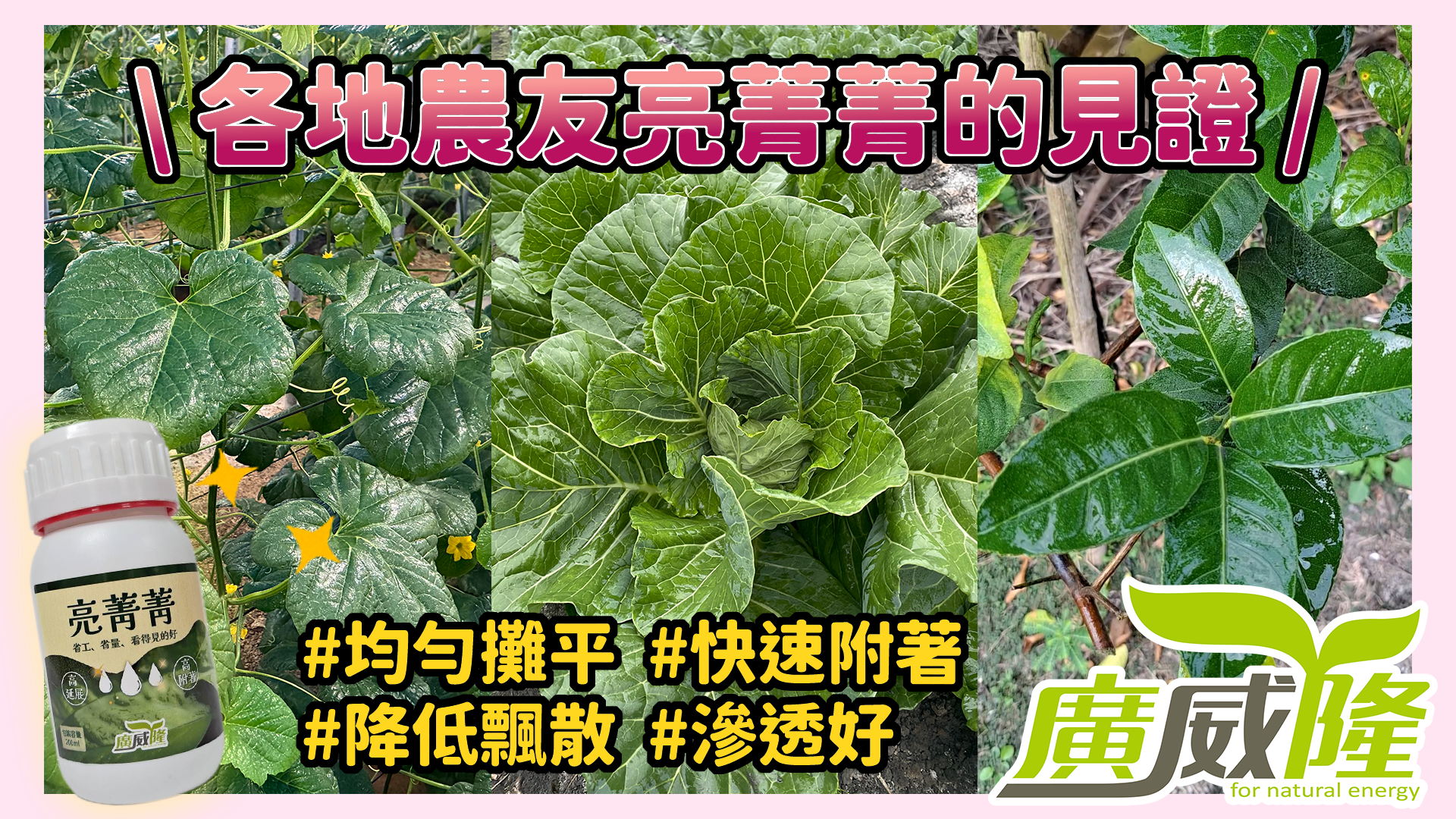 亮菁菁，讓你每一桶藥都不白噴，來看看各地農友的見證分享吧～